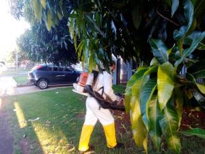 Galeria de Imagens