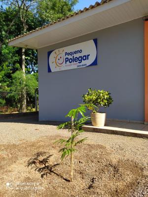Galeria de Imagens