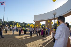 Galeria de Imagens