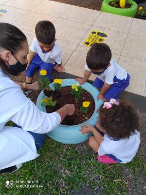 Galeria de Imagens