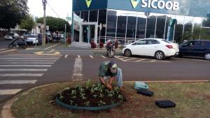 Galeria de Imagens