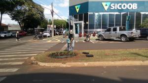 Galeria de Imagens