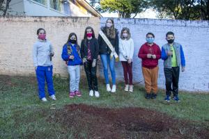 Galeria de Imagens