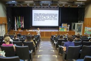 Galeria de Imagens