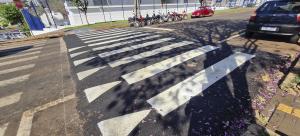 Galeria de Imagens