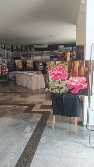 Galeria de Imagens