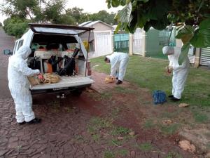 Galeria de Imagens