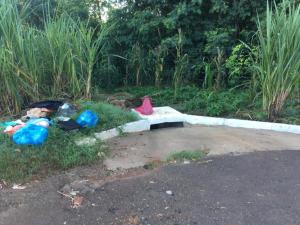 Galeria de Imagens