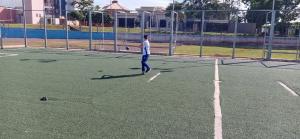 Galeria de Imagens