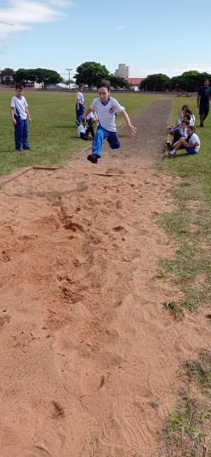 Galeria de Imagens