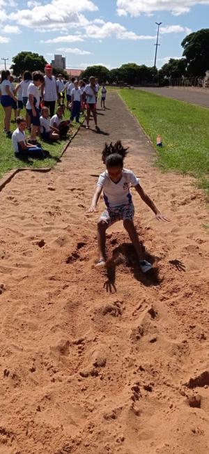 Galeria de Imagens