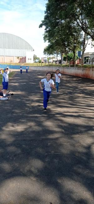 Galeria de Imagens