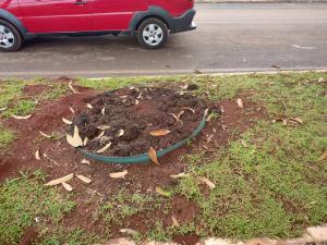 Galeria de Imagens