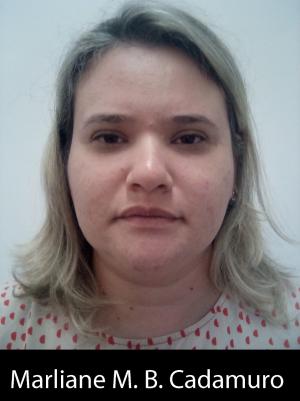 Galeria de Imagens