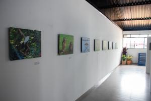 Galeria de Imagens