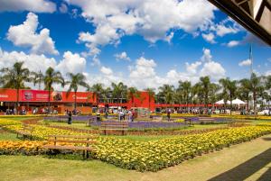 Galeria de Imagens