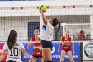 Galeria de Imagens