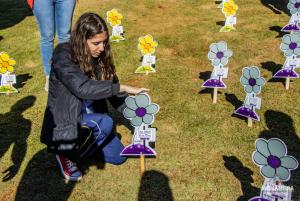 Galeria de Imagens