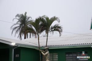 Galeria de Imagens