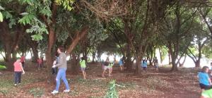 Galeria de Imagens