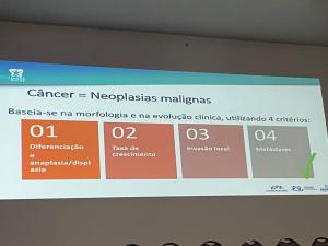 Galeria de Imagens
