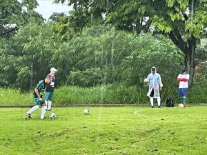 Galeria de Imagens