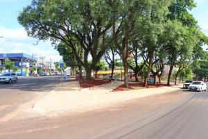 Galeria de Imagens