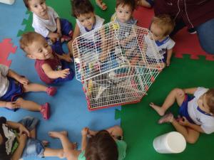 Galeria de Imagens