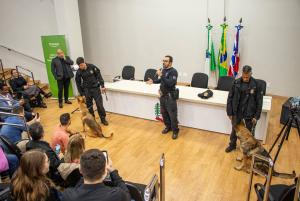 Galeria de Imagens