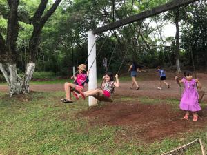 Galeria de Imagens