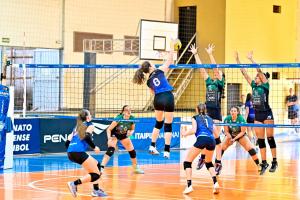 Galeria de Imagens