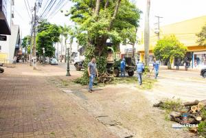 Galeria de Imagens