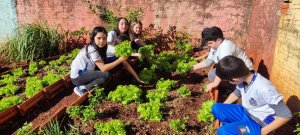 Galeria de Imagens