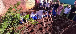 Galeria de Imagens