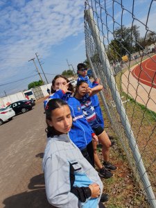 Galeria de Imagens