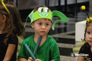 Galeria de Imagens