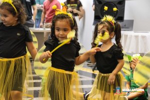 Galeria de Imagens