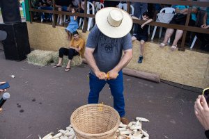 Galeria de Imagens