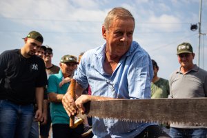 Galeria de Imagens