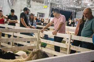 Galeria de Imagens