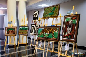 Galeria de Imagens