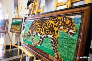 Galeria de Imagens