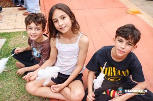 Galeria de Imagens